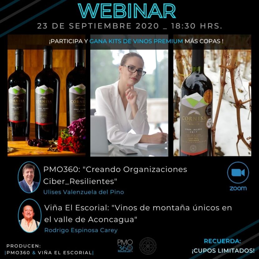 Organizaciones ciber resilientes, Continuidad del negocio